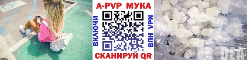 Альфа ПВП СК  Нальчик 