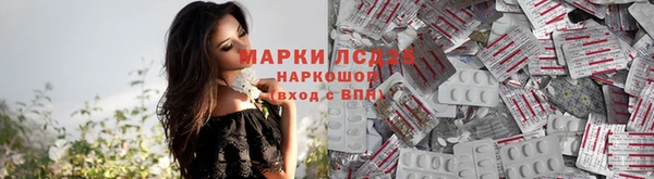 спиды Волосово