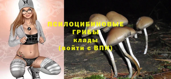 ПСИЛОЦИБИНОВЫЕ ГРИБЫ Володарск